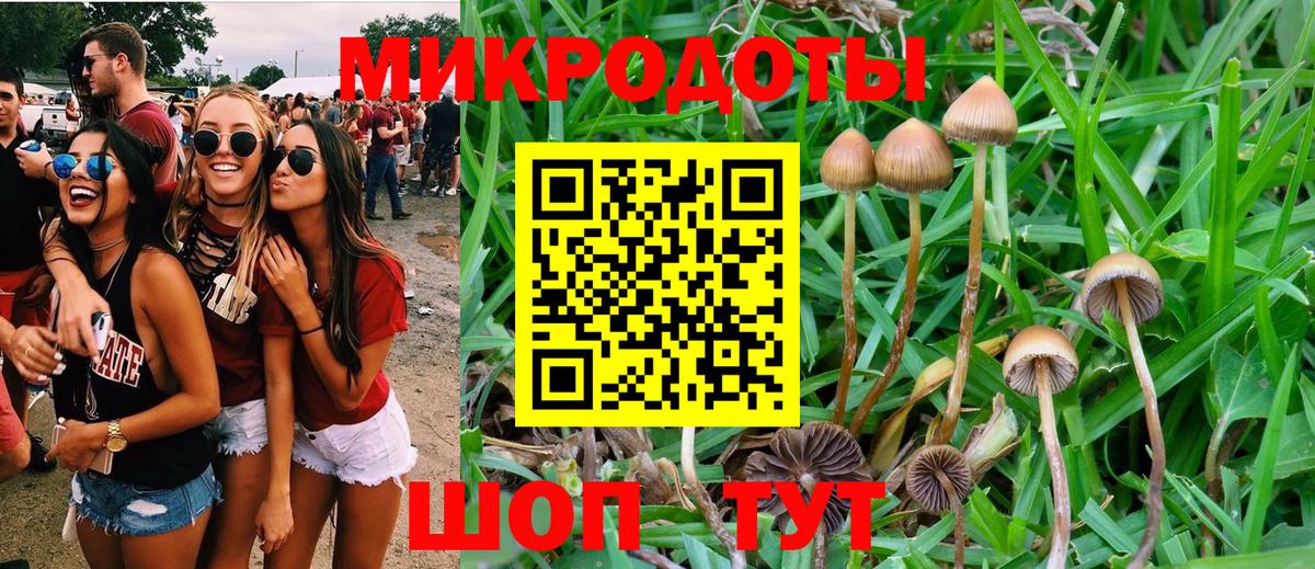 Галлюциногенные грибы ЛСД Нерюнгри